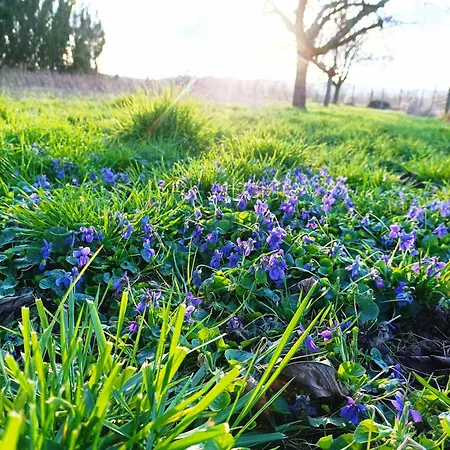 La Belle Riviere 1 Apartment